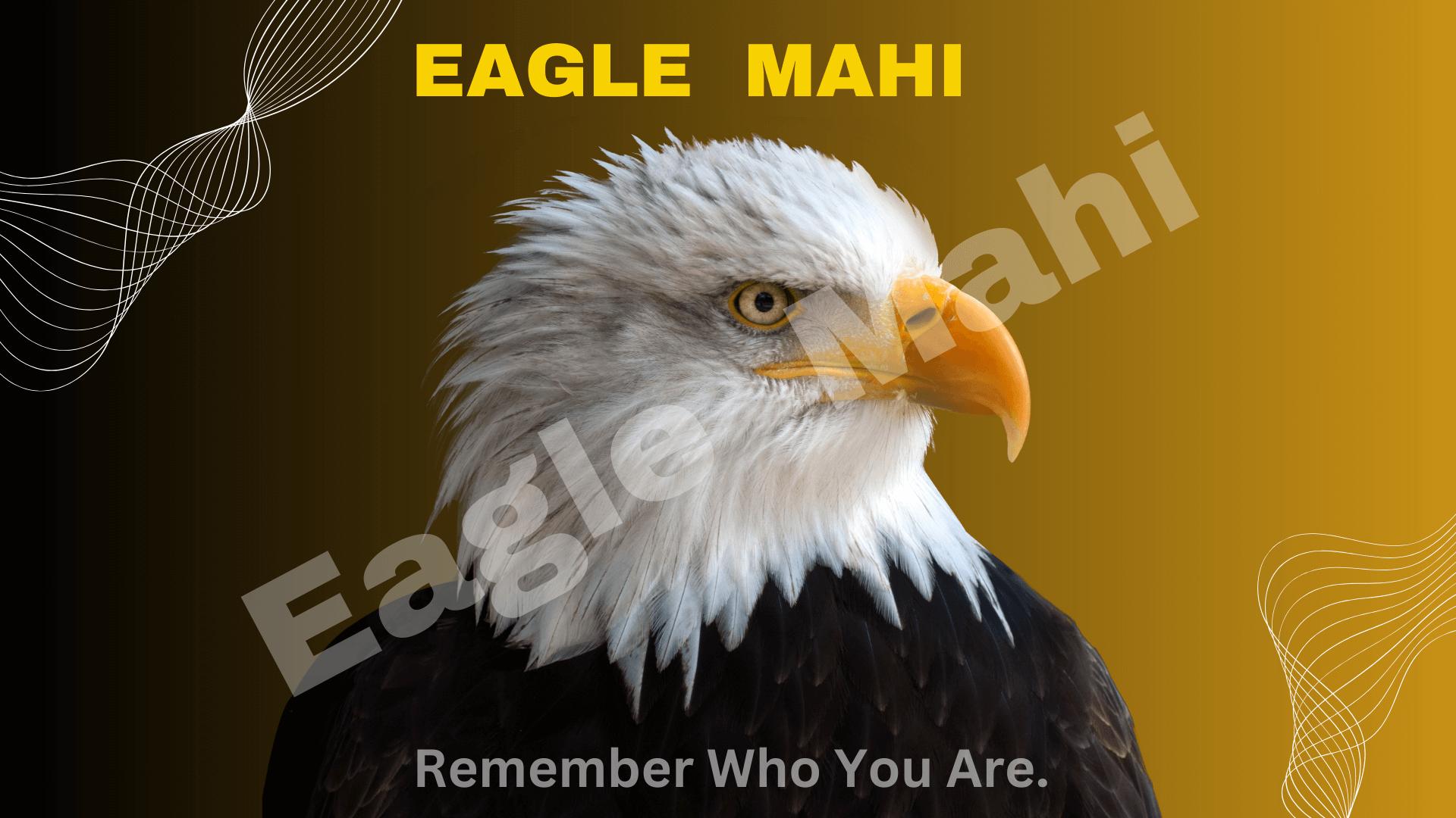 Welcome to Eagle Mahi